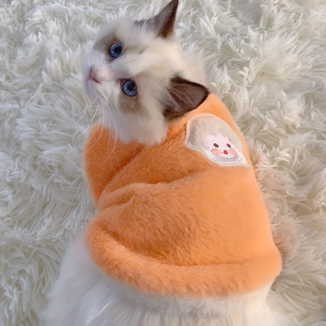 Cozy Paws Pet Sweater