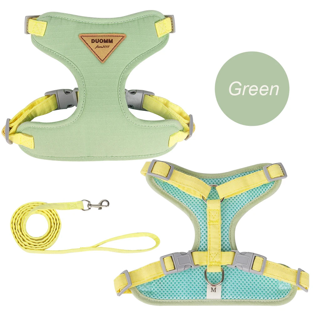Pet Harness and Leash Set