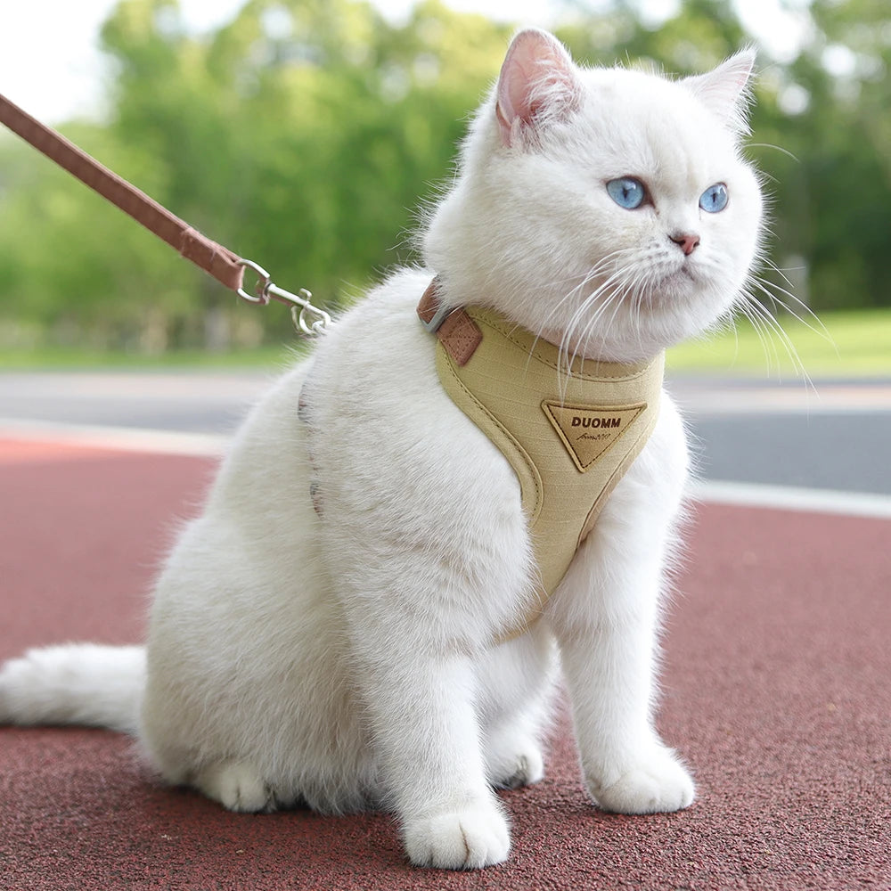 Pet Harness and Leash Set