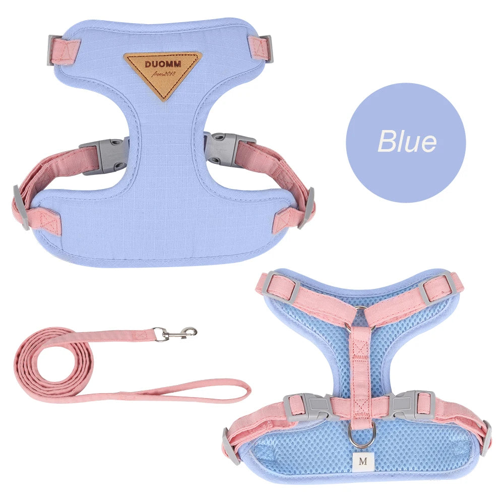 Pet Harness and Leash Set