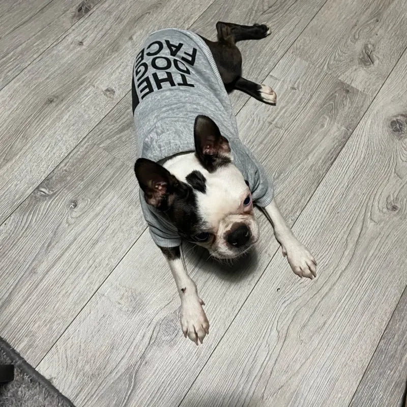 Dog Hoodie Jacket