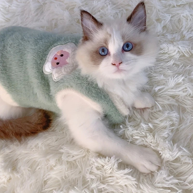Cozy Paws Pet Sweater