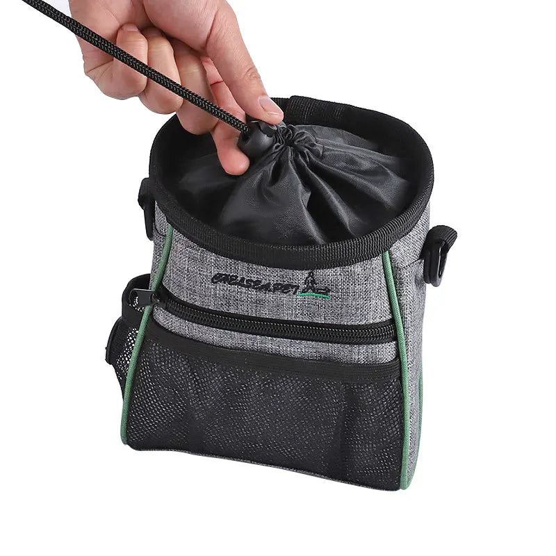 Pet Training Bag