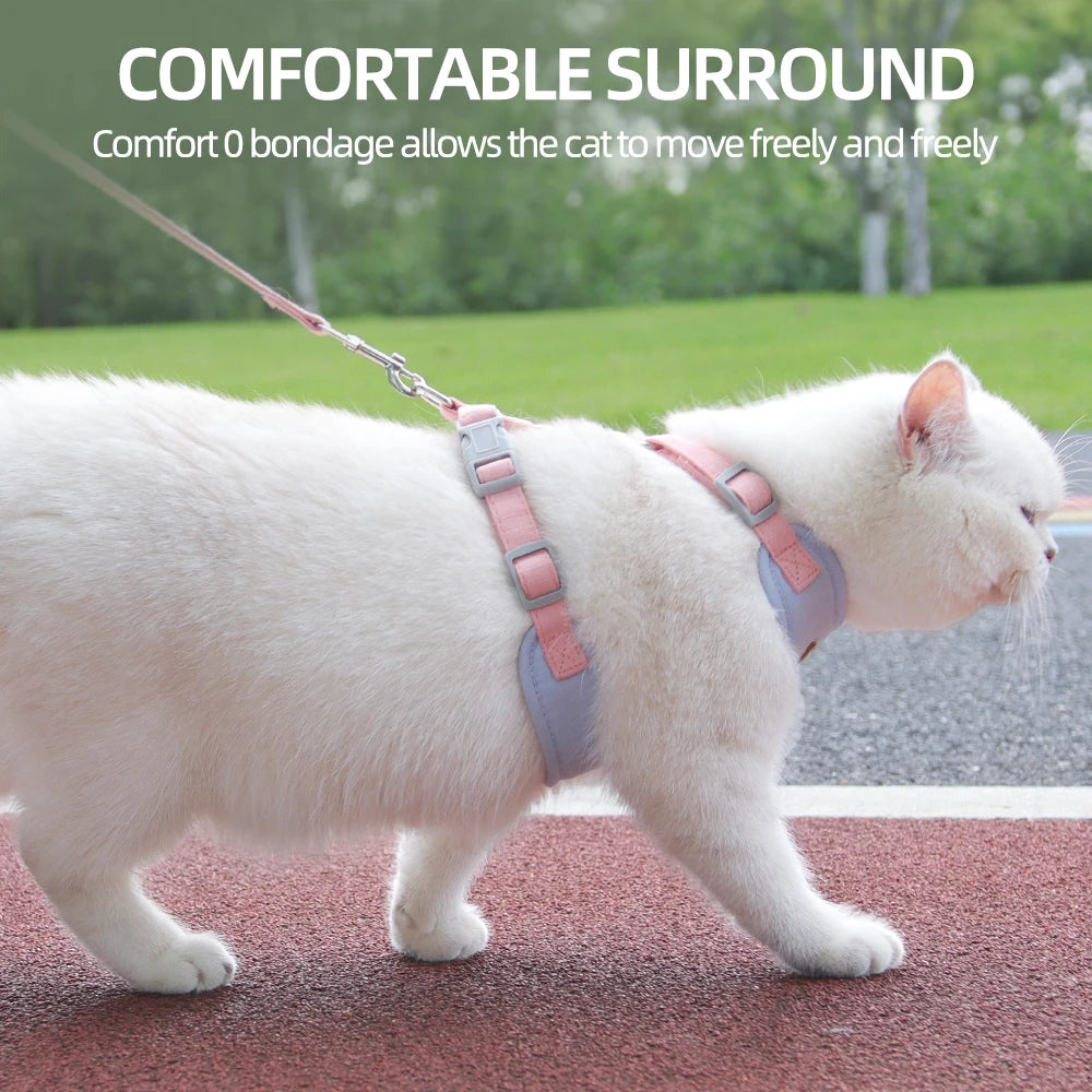 Pet Harness and Leash Set
